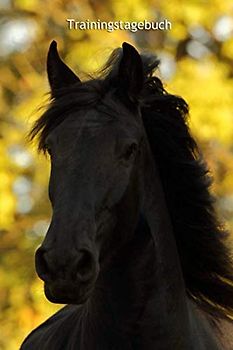 Trainingstagebuch: schnell und einfach das Training mit Deinem Pferd dokumentieren