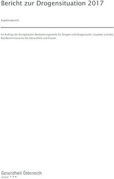 Bericht zur Drogensituation 2017