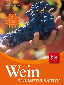 Wein in unserem Garten