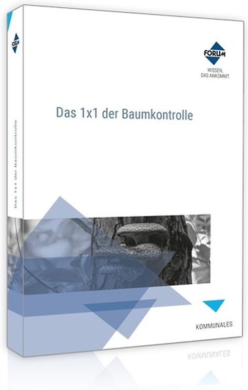 Das 1x1 der Baumkontrolle
