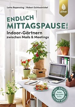 Endlich Mittagspause! Indoor-Gärtnern zwischen Mails und Meetings mit Pflücksalat, Sprossen & Co.