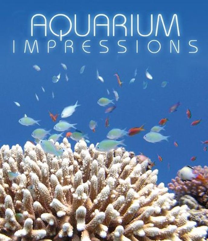 Aquarium Impressions