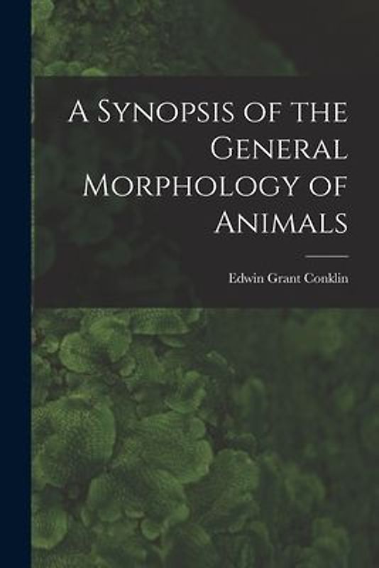 A Synopsis of the General Morphology of Animals