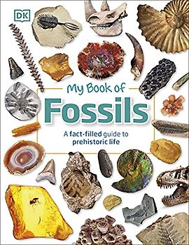 My Book of Fossils