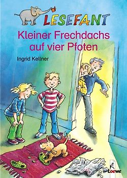 Kleiner Frechdachs auf vier Pfoten