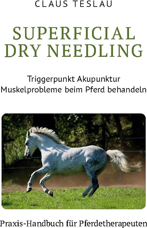 Superficial Dry Needling