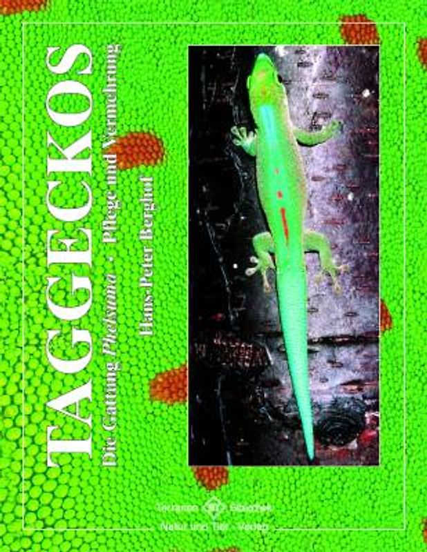 Taggeckos