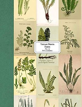 Vintage Prints: Ferns: Vol. 12