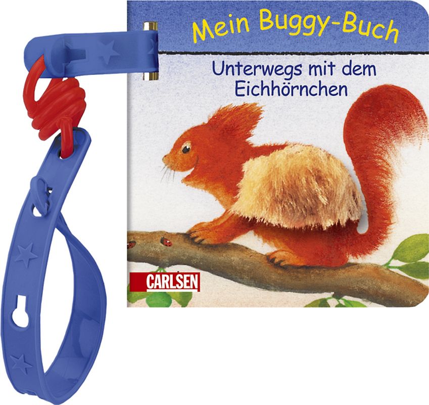 Unterwegs mit dem Eichhörnchen