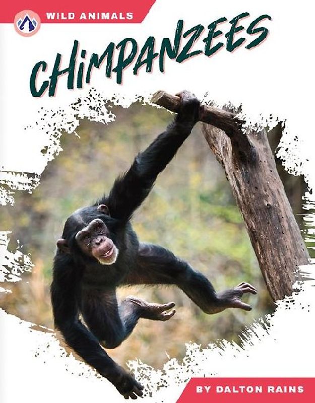 Chimpanzees