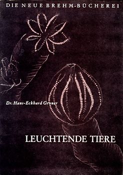 Leuchtende Tiere