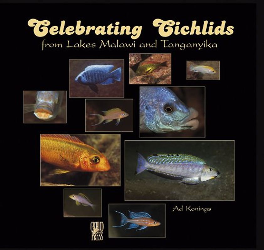 Celebrating Cichlids