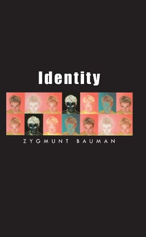 Identity: Coversations with Benedetto Vecchi: Conversations with Benedetto Vecchi (Themes for the 21st Century) - Zygmunt Bauman