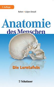Anatomie des Menschen