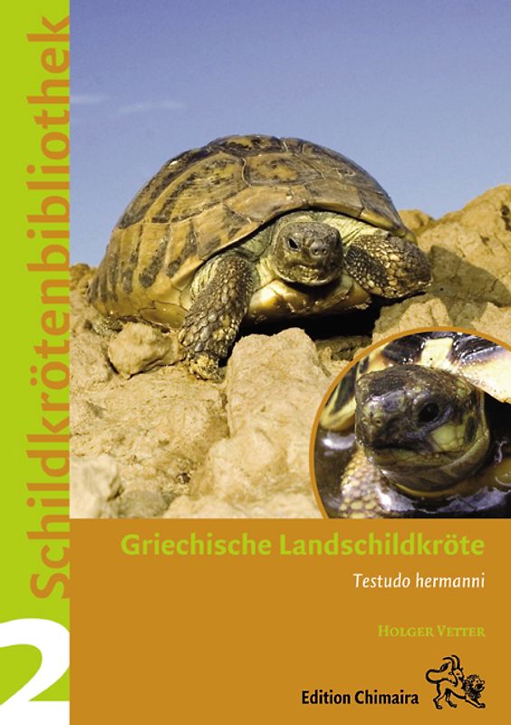 Griechische Landschildkröte, Dalmatinische und Italienische Landschildkröte