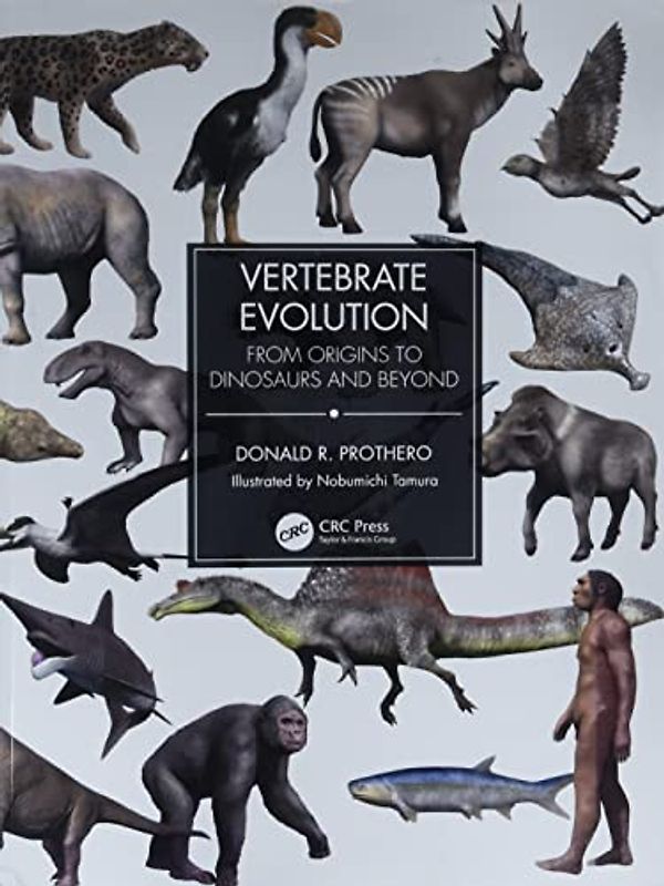 Vertebrate Evolution