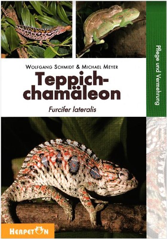Teppichchamäleon: Furcifer lateralis - Wolfgang Schmidt