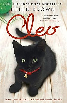 Cleo: How a small black cat helped heal a family - Helen Brown
