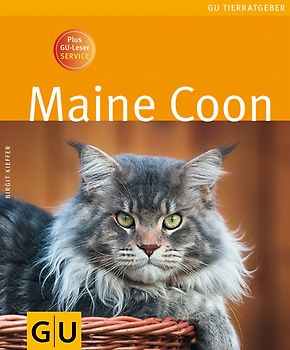 Maine Coon