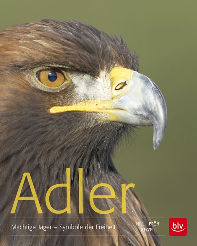 Adler
