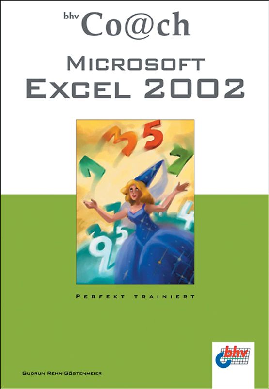 Microsoft Excel 2002