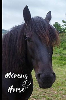 Mérens Horse Notebook For Horse Lovers: Composition Notebook 6x9" Blank Lined Journal