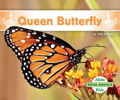 Queen Butterfly