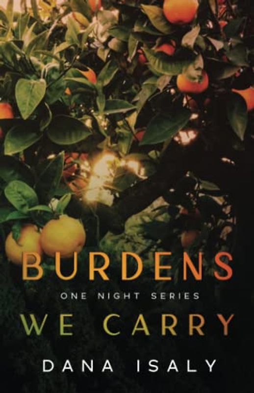 Burdens We Carry (One Night Series, Band 3)