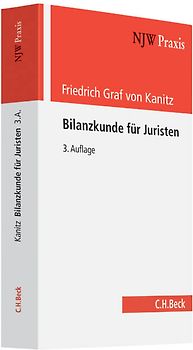 Bilanzkunde für Juristen