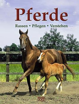 Pferde