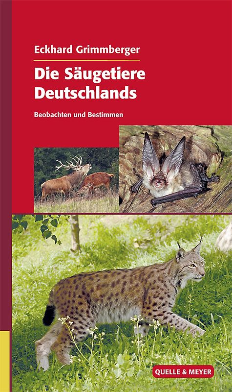 Die Säugetiere Deutschlands