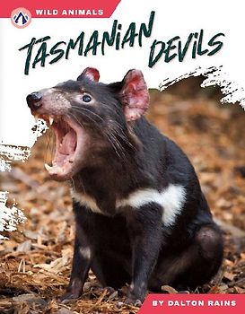 Tasmanian Devils