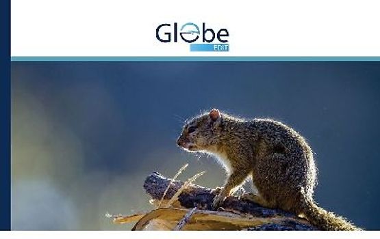 Red Teaming, Speltheorie, Panpsychisme en Quantal Perceptie