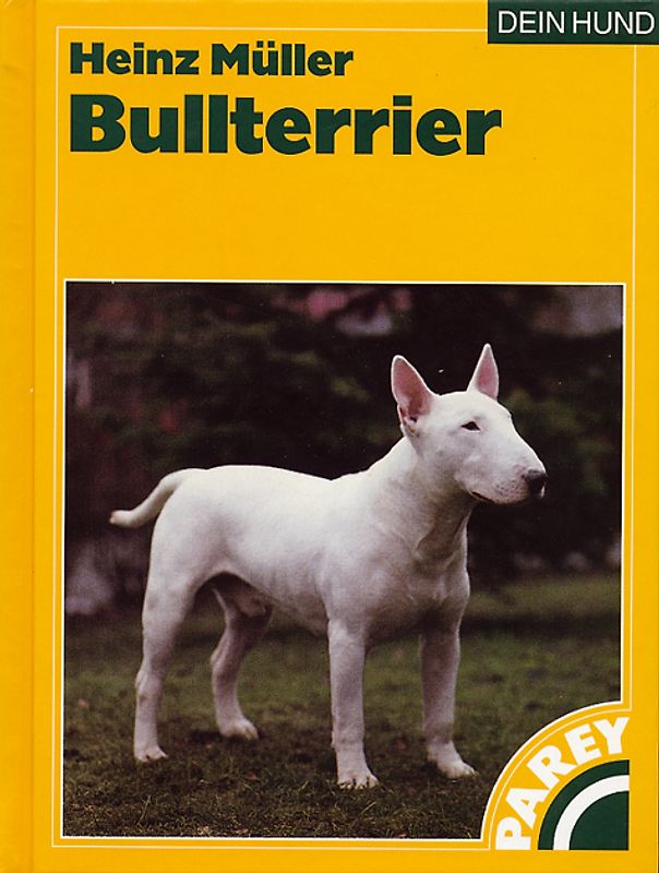 Bullterrier