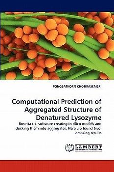 Computational Prediction of Aggregated Structure of Denatured Lysozyme