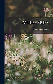 Mulberries