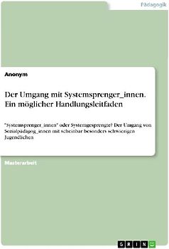 Der Umgang mit Systemsprenger_innen. Ein möglicher Handlungsleitfaden