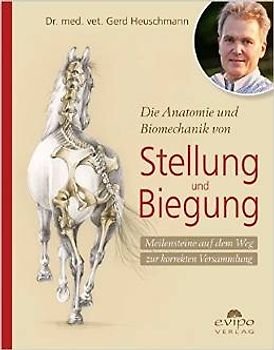 Die Anatomie und Biomechanik von Stellung und Biegung