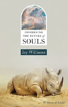 Concerning the Future of Souls