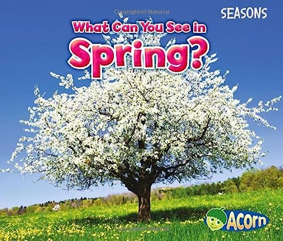 What Can You See in Spring?