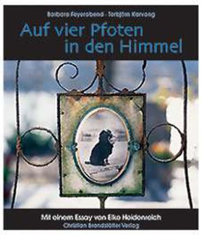 Auf vier Pfoten in den Himmel