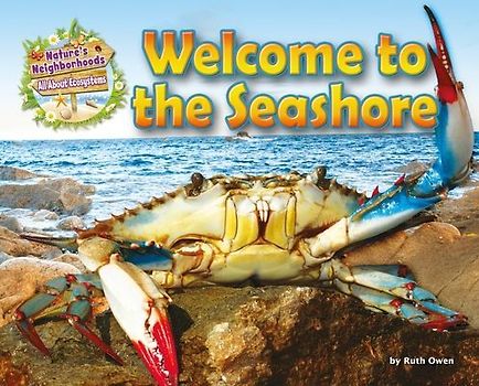 Welcome to the Seashore