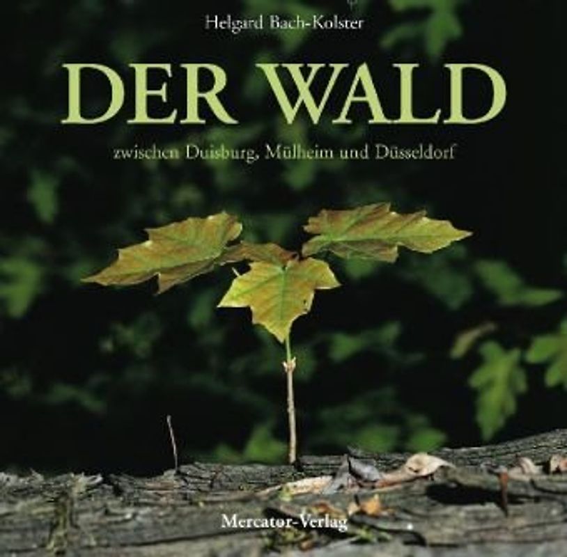 Der Wald zwischen Duisburg, Mülheim und Düsseldorf