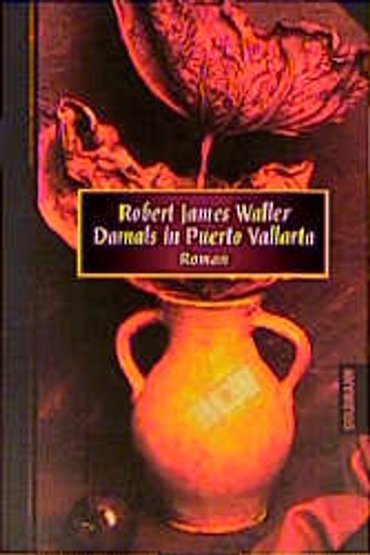 Damals in Puerto Vallarta. Erlesenes