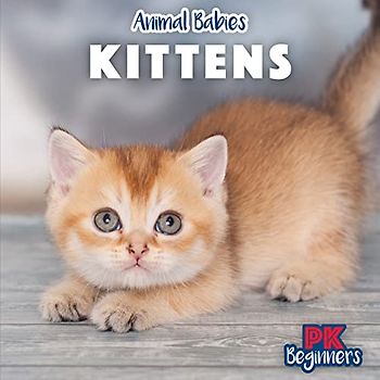Kittens (Animal Babies)