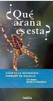 ¿Qué araña es esta?