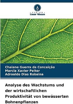 Analyse des Wachstums und der wirtschaftlichen Produktivität von bewässerten Bohnenpflanzen