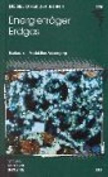 Energieträger Erdgas