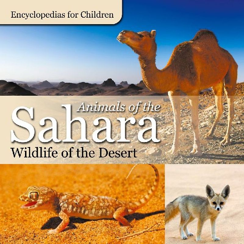 Animals of the Sahara | Wildlife of the Desert | Encyclopedias for Children