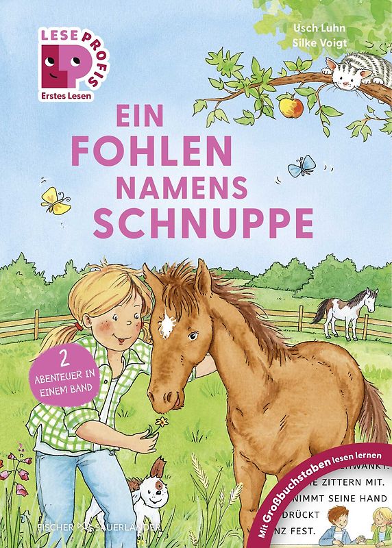 Leseprofis – GROSSBUCHSTABEN: EIN FOHLEN NAMENS SCHNUPPE, 1. Klasse